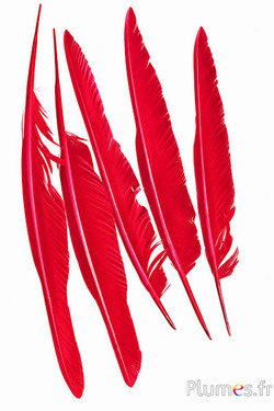 Schwan - 28-33 cm - karminrot
